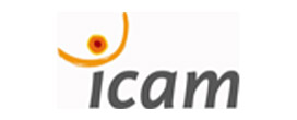 Logo_ICAM_SI.jpg