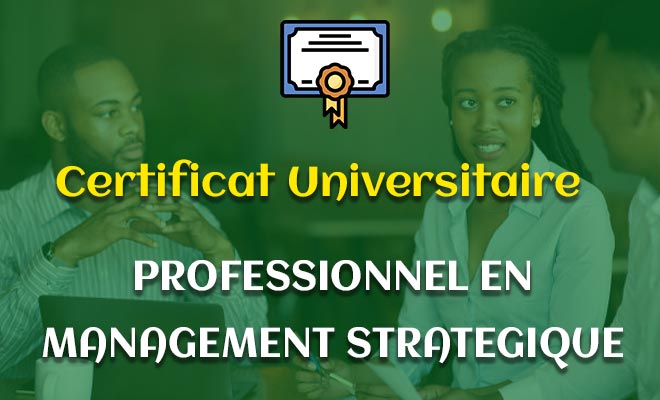 Certificat Universitaire Professionnel en Management Stratégique